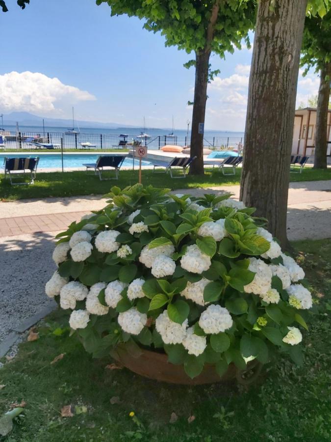Villaggio Turistico Dei Tigli Padenghe sul Garda Buitenkant foto